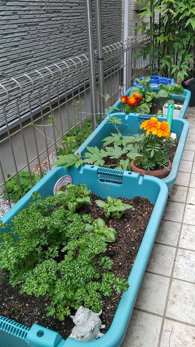 今年も美味しく育ちますように👍