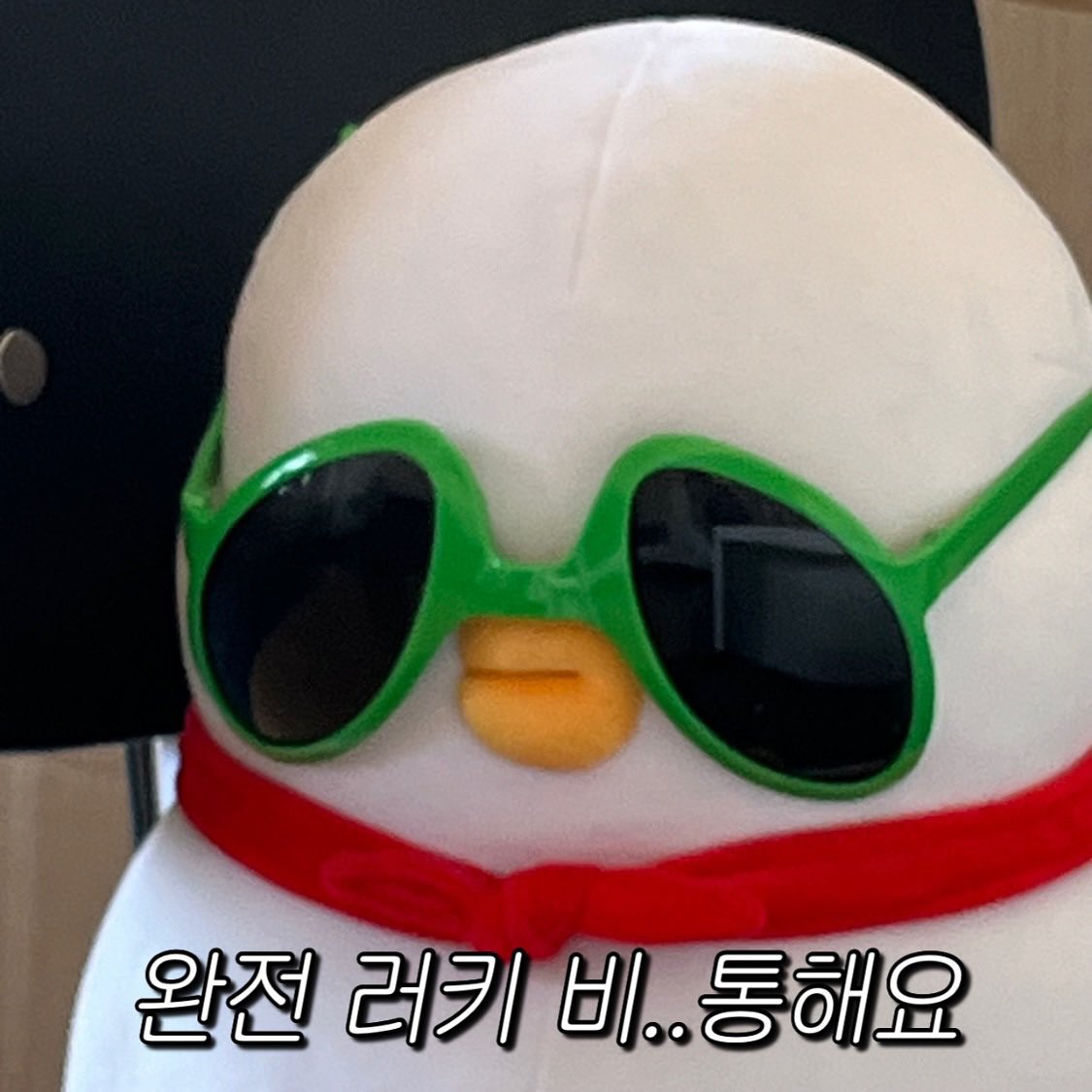 난 트친도 없고..그냥 조용히 덕질하는 계정이지만..늦덕이지만..
흰토빨토 보러 가고 싶은데...?
영원히 사이트 들락날락해도 취소표따위 없다...

아는 사람 없는것도 서럽지만 모두 양도 받는데 난 아무 시도도 못하는게 더 서러워억!!!!

4월 30일 화이트래빗 레드래빗 나도 보고싶다!!!
눈물 또륵