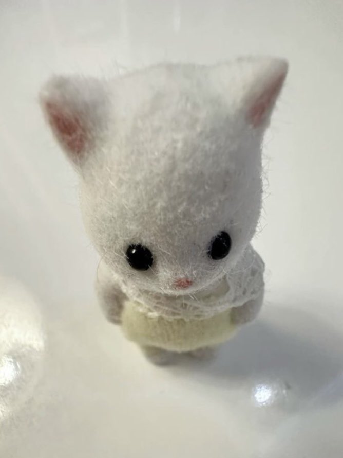 냠 (@sunoonats) on Twitter photo 