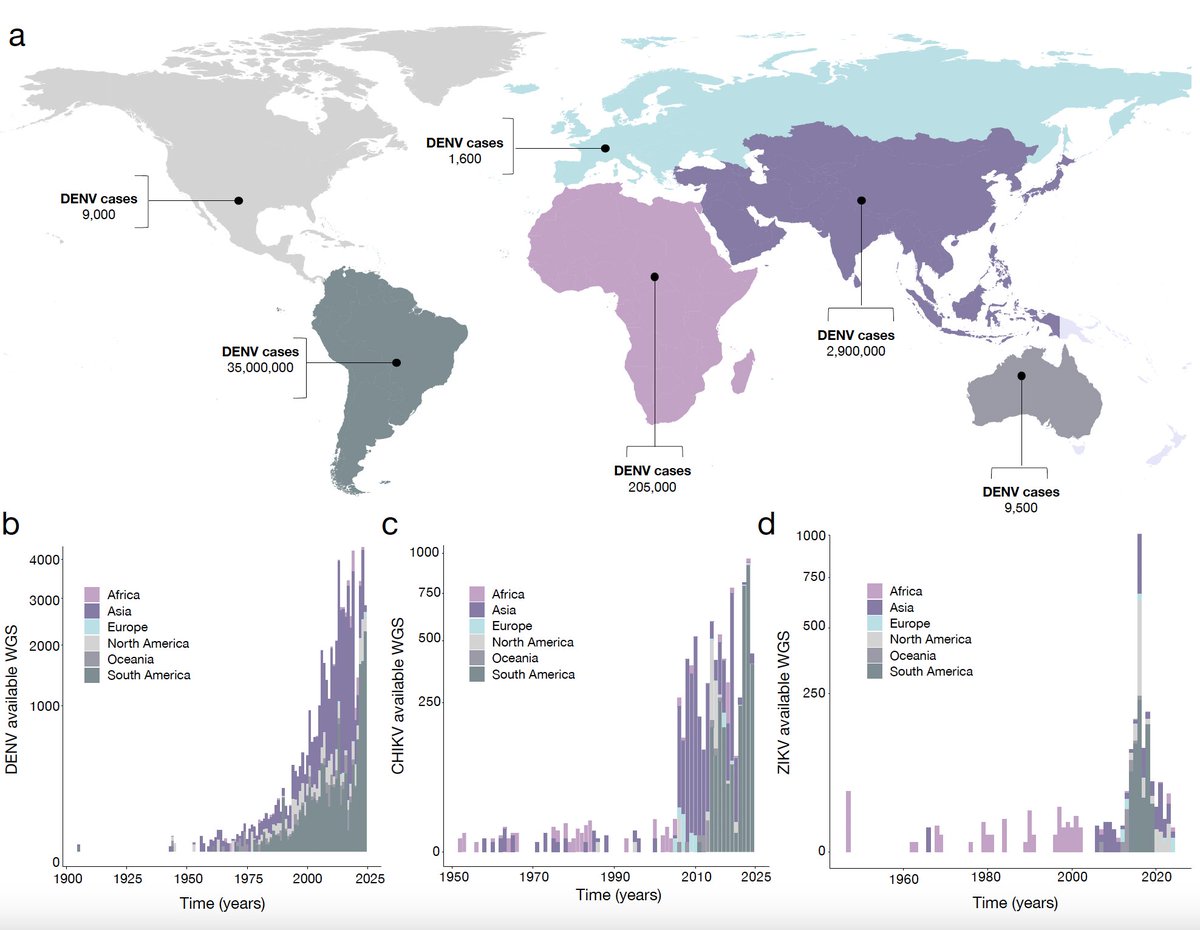Marta Giovanetti tweet media