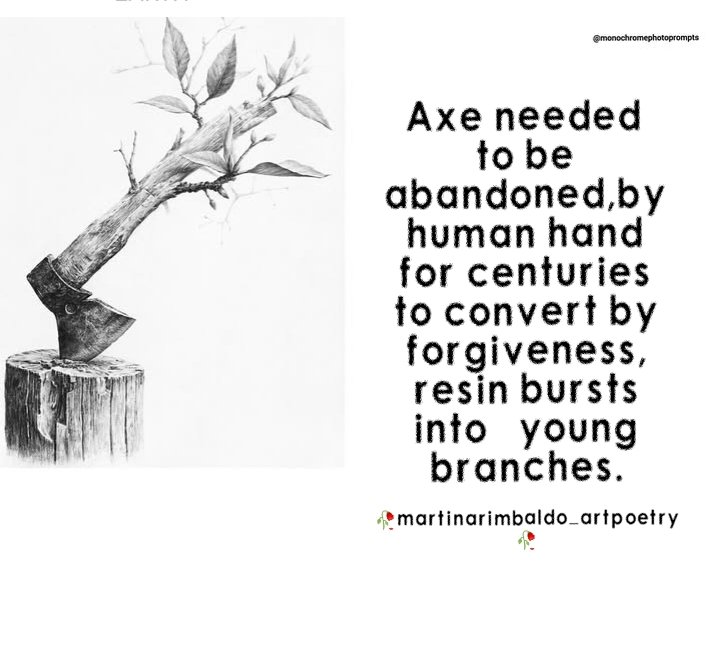🌹MarTinaArt_Poetry 🇭🇷 (@martinarimbaldo) on Twitter photo 