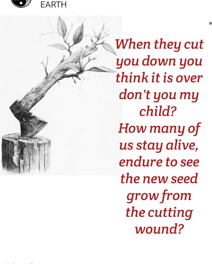 🌹MarTinaArt_Poetry 🇭🇷 (@martinarimbaldo) on Twitter photo 