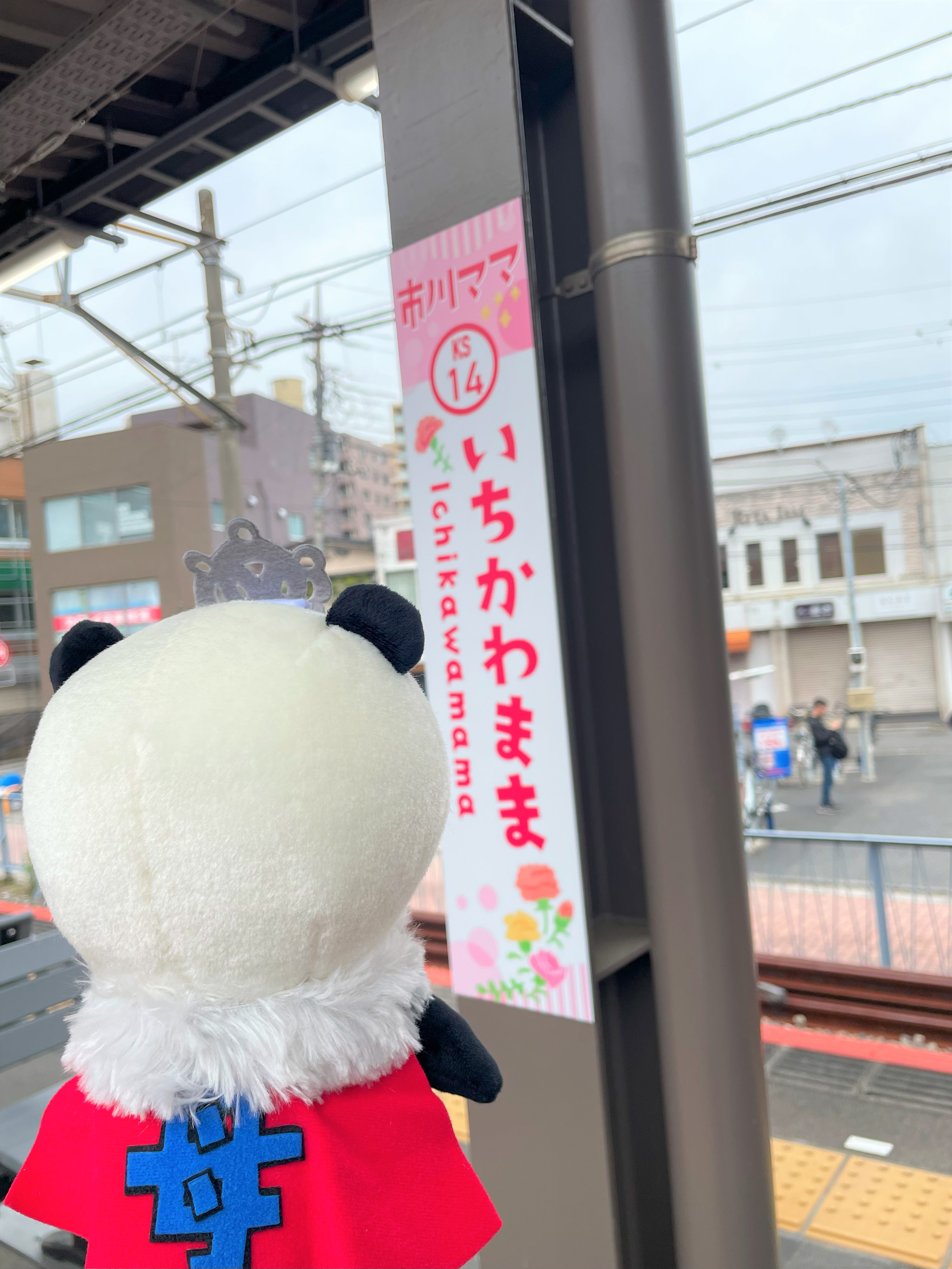 京成パンダ【公式】 on X: 