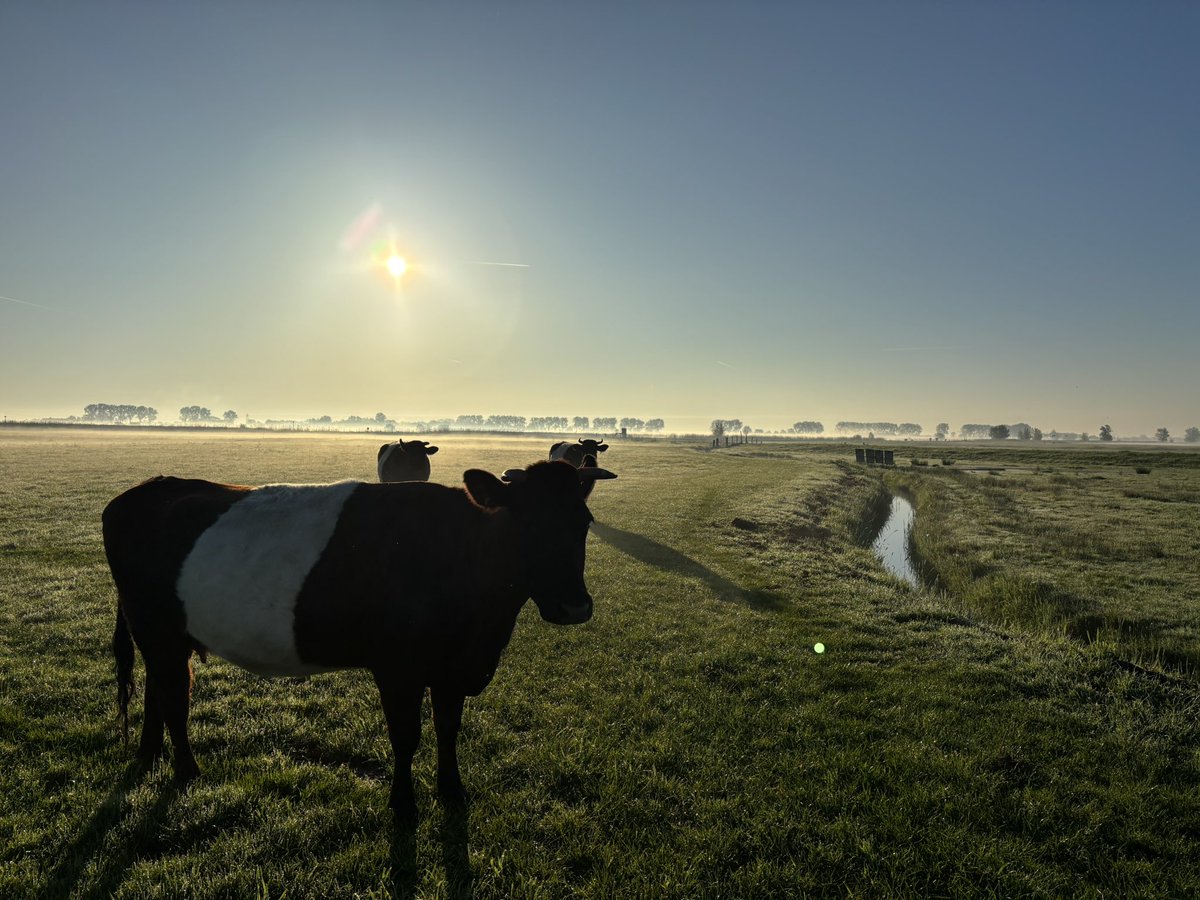 CrPierik's tweet photo. Ochtendgloren op maandag 28 april. #Rust aan de ene kant van de winterdijk, aan de andere kant (ruim binnen de grens van 250 meter van het N2000 gebied) vliegen de heipalen de grond in. Veel #herrie, veel verkeer, veel stikstofuitstoot… er komt nog 40 ha bedrijventerrein bij! https://t.co/VACAs4q50Q