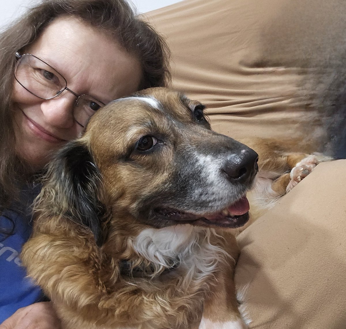 slanoue2016's tweet photo. #Selfie #dogselfie #Brandy #dog🐶 #dogs #thatface #thatfacethough😍 #cutie #socute #adorable #doggo #doggy #gooddog #sillydog #mutt #supermutt #rescuedog #adoptdontshop #bassethound #dogsofnewyork #dogsofX #DogsofTwitter🐾💕 https://t.co/ePalREGoxN