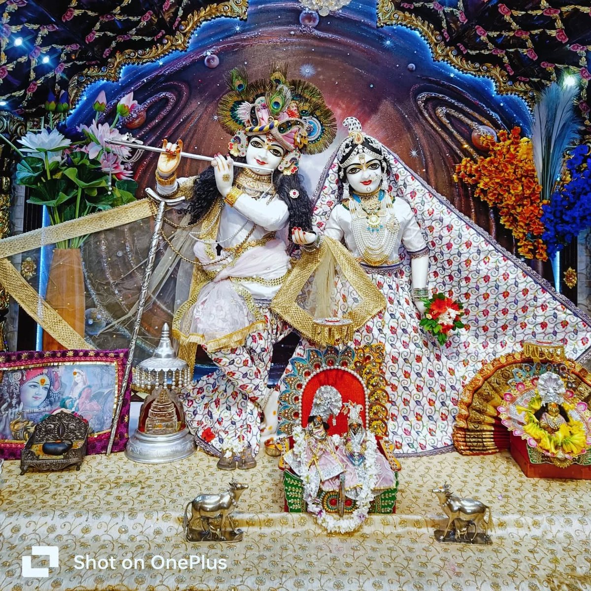 Merabharatms's tweet photo. 28/04/2025 आज ठा. श्री प्रियाकान्त जू भगवान के अलौकिक श्रृंगार दर्शन प्रियाकान्त जू मंदिर वृंदावन (मथुरा ) #प्रियाकांत_जु_मन्दिर_वृन्दावन
#निंबार्क #संप्रदाय
#DnThakurJi #vssct #vsscm #VssctOnline #thakurji #priyakant_ju #vrindavan #Darshan
#PriyakantJuMandirVrindavan https://t.co/qCgkbhTz2p