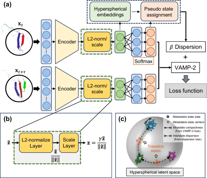 CureCoin_Team's tweet image. Exploring transition states of protein conformational changes via out-of-distribution detection in the hyperspherical latent space nature.com/articles/s4146…