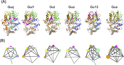 CureCoin tweet media