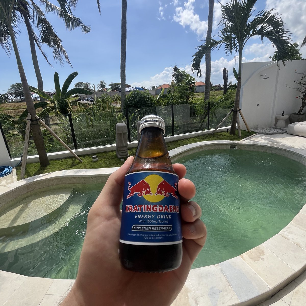 this the type of redbull that comes directly from the bulls testies