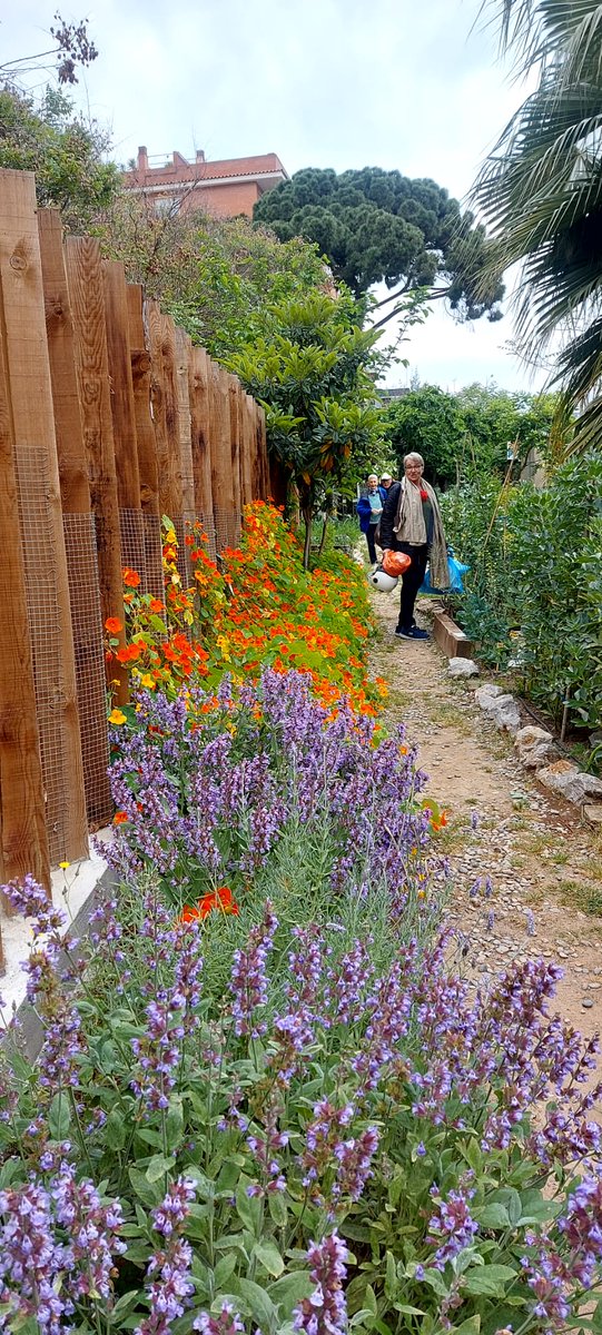 Dissabte 26 vam fer una nova trobada, vam anar a l’espai Gardenyes, l’hort comunitari de Sarrià. En un entorn preciós, al cor del barri del que aviat serem veïnes, vam celebrar la primavera provant de fer clavells en homenatge a la revolució que va portar la llibertat al país veí