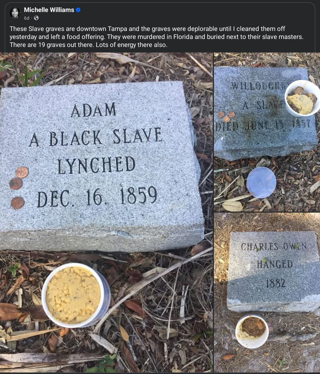 LineageFirst's tweet image. #ADOS