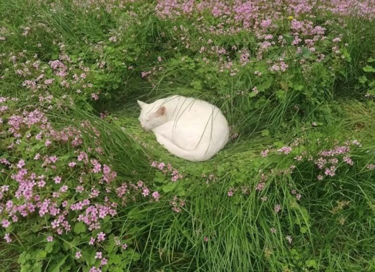 ⁡︎ ⁢︎ ⁣︎⁠︎ tweet media