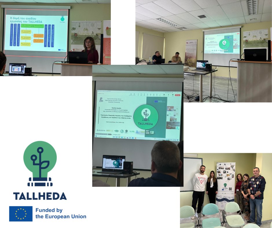 TALLHEDA (@tallhedaproject) on Twitter photo 🌱 TALLHEDA Showcased at REZOS Workshop on Innovation & Precision Agriculture! 🚀🌍​
#TALLHEDA #HorizonEU <a href="/REA_research/">European Research Executive Agency</a> #ResearchImpactEU #EUInnovation 🌱 TALLHEDA Showcased at REZOS Workshop on Innovation & Precision Agriculture! 🚀🌍​
#TALLHEDAÂ #HorizonEUÂ <a href="/REA_research/">European Research Executive Agency</a> #ResearchImpactEU #EUInnovation