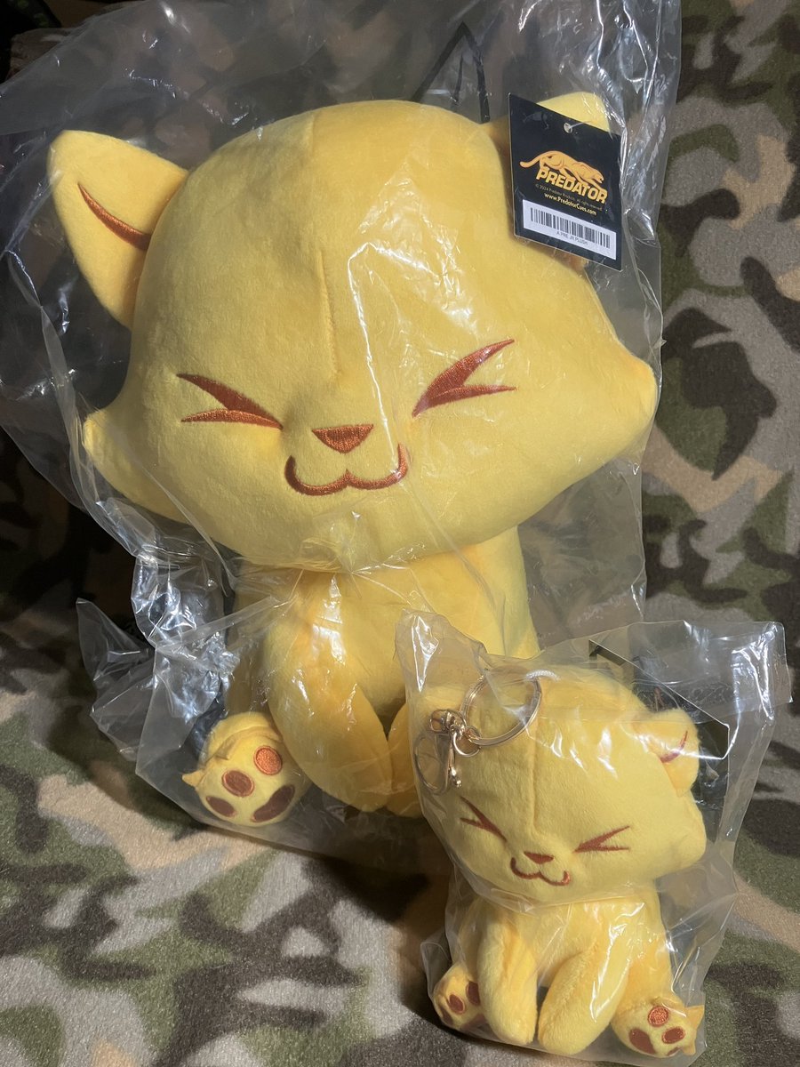 プレデターさんのキャンペーンで頂戴したこちらのプレデターキャット。
小さな子は別途入手したものですが、
お一人に「お裾分け」します❗️
フォローとこのポストをリポストして頂いた方の中から抽選させて下さい。
5/5 24:00までの応募可。
5/6 12:00頃当選者さんにＤＭします。