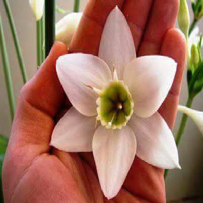 sheer_iran (@sheriran95) on Twitter photo <a href="/BrainnPower/">🦚My Green Zone🦚</a> <a href="/OMarlene094527/">OMarlene</a> <a href="/AwiexaB/">matahari</a> <a href="/naidin_adrian/">Adrian Naidin</a> <a href="/hamzakhald/">hamza khald</a> <a href="/TracyHa98463342/">Tracy Harris</a> <a href="/laiane020/">Laiane</a> <a href="/DarkCandyGirl/">Eos Kanon</a> <a href="/marinagarzon5/">marina Garzon</a> <a href="/JojoeToylor/">Toylor jojoe🇺🇸</a> <a href="/Sarah31776256/">سارة أحمد الحاج</a> <a href="/KVajpayaee/">KATYAYAN VAJPAYEE</a> <a href="/Nataliya_Le/">Talena</a> <a href="/IzabelleCova/">🌺 Iza 💦</a> <a href="/pepita58844305/">pepita</a> <a href="/leopoldolarag/">Leopoldo Lara</a> <a href="/sushilpershad/">sushil ??</a> <a href="/vascoromeo/">romeo valentino</a> <a href="/Bexoka_surchi/">Bexal</a> <a href="/PattiBrookd/">Patti Brookd</a> <a href="/elezyelm/">Mendonça Elezyel</a> <a href="/A7sWEs45EXspH7a/">クク</a> <a href="/leoneleone451/">Gianni</a> <a href="/Nelidarojasb3/">Nelidarojasb</a> <a href="/heroldbarton/">herold barton</a> <a href="/poker_aleks/">Aleks Poker</a> <a href="/RobBean12/">Rob Bean</a> <a href="/Elena1a2s3d/">@ ELENA _••77</a> <a href="/PosiePosie1212/">Posie</a> <a href="/purpurasoloamor/">Solo Amor</a> <a href="/RolfzenClare/">Clare Rolfzen</a> <a href="/purpuracocaes/">#Colombia</a> <a href="/NoemRosales3/">Noemí Rosales</a> <a href="/MitsueMitsu/">Mitsue Butler 💍💖💎🎀</a> <a href="/Azad_477_/">ღ(¯`◕‿◕´¯) ♫ ♪ ♫ 卂z𝓪𝕕 ♫ ♪ ♫ (¯`◕‿◕´¯)ღAZAD</a> <a href="/MandhirSingh19/">Mandhir Singh</a> <a href="/mysticwolf14/">Wolfbard ☮️🦋🌷🦋💟</a> <a href="/marina19619/">Marina</a> <a href="/vixentink_tracy/">Tracy 💕</a> <a href="/StephanieH9229/">🌷Stéphanie🌷</a> <a href="/Salam81485347/">Salam</a> <a href="/faithtrusthope7/">Soňa</a> <a href="/tuncay6969/">Tolga</a> <a href="/dalilabencomo/">Dalila</a> <a href="/Isobg69/">🕊🇮🇹🛫iso69🛬🇫🇷</a> <a href="/walidalhadad203/">freedom , time</a> <a href="/Ninaninocka_26/">Nina</a> <a href="/dragonfly_37/">Leah</a> <a href="/Isabella00089/">🌹Isabella🌹</a> <a href="/Carolay32085416/">Carolayn</a> <a href="/BrainnPower/">🦚My Green Zone🦚</a> <a href="/OMarlene094527/">OMarlene</a> <a href="/AwiexaB/">matahari</a> <a href="/naidin_adrian/">Adrian Naidin</a> <a href="/hamzakhald/">hamza khald</a> <a href="/TracyHa98463342/">Tracy Harris</a> <a href="/laiane020/">Laiane</a> <a href="/DarkCandyGirl/">Eos Kanon</a> <a href="/marinagarzon5/">marina Garzon</a> <a href="/JojoeToylor/">Toylor jojoe🇺🇸</a> <a href="/Sarah31776256/">سارة أحمد الحاج</a> <a href="/KVajpayaee/">KATYAYAN VAJPAYEE</a> <a href="/Nataliya_Le/">Talena</a> <a href="/IzabelleCova/">🌺 Iza 💦</a> <a href="/pepita58844305/">pepita</a> <a href="/leopoldolarag/">Leopoldo Lara</a> <a href="/sushilpershad/">sushil ??</a> <a href="/vascoromeo/">romeo valentino</a> <a href="/Bexoka_surchi/">Bexal</a> <a href="/PattiBrookd/">Patti Brookd</a> <a href="/elezyelm/">Mendonça Elezyel</a> <a href="/A7sWEs45EXspH7a/">クク</a> <a href="/leoneleone451/">Gianni</a> <a href="/Nelidarojasb3/">Nelidarojasb</a> <a href="/heroldbarton/">herold barton</a> <a href="/poker_aleks/">Aleks Poker</a> <a href="/RobBean12/">Rob Bean</a> <a href="/Elena1a2s3d/">@ ELENA _••77</a> <a href="/PosiePosie1212/">Posie</a> <a href="/purpurasoloamor/">Solo Amor</a> <a href="/RolfzenClare/">Clare Rolfzen</a> <a href="/purpuracocaes/">#Colombia</a> <a href="/NoemRosales3/">Noemí Rosales</a> <a href="/MitsueMitsu/">Mitsue Butler 💍💖💎🎀</a> <a href="/Azad_477_/">ღ(¯`◕‿◕´¯) ♫ ♪ ♫ 卂z𝓪𝕕 ♫ ♪ ♫ (¯`◕‿◕´¯)ღAZAD</a> <a href="/MandhirSingh19/">Mandhir Singh</a> <a href="/mysticwolf14/">Wolfbard ☮️🦋🌷🦋💟</a> <a href="/marina19619/">Marina</a> <a href="/vixentink_tracy/">Tracy 💕</a> <a href="/StephanieH9229/">🌷Stéphanie🌷</a> <a href="/Salam81485347/">Salam</a> <a href="/faithtrusthope7/">Soňa</a> <a href="/tuncay6969/">Tolga</a> <a href="/dalilabencomo/">Dalila</a> <a href="/Isobg69/">🕊🇮🇹🛫iso69🛬🇫🇷</a> <a href="/walidalhadad203/">freedom , time</a> <a href="/Ninaninocka_26/">Nina</a> <a href="/dragonfly_37/">Leah</a> <a href="/Isabella00089/">🌹Isabella🌹</a> <a href="/Carolay32085416/">Carolayn</a>