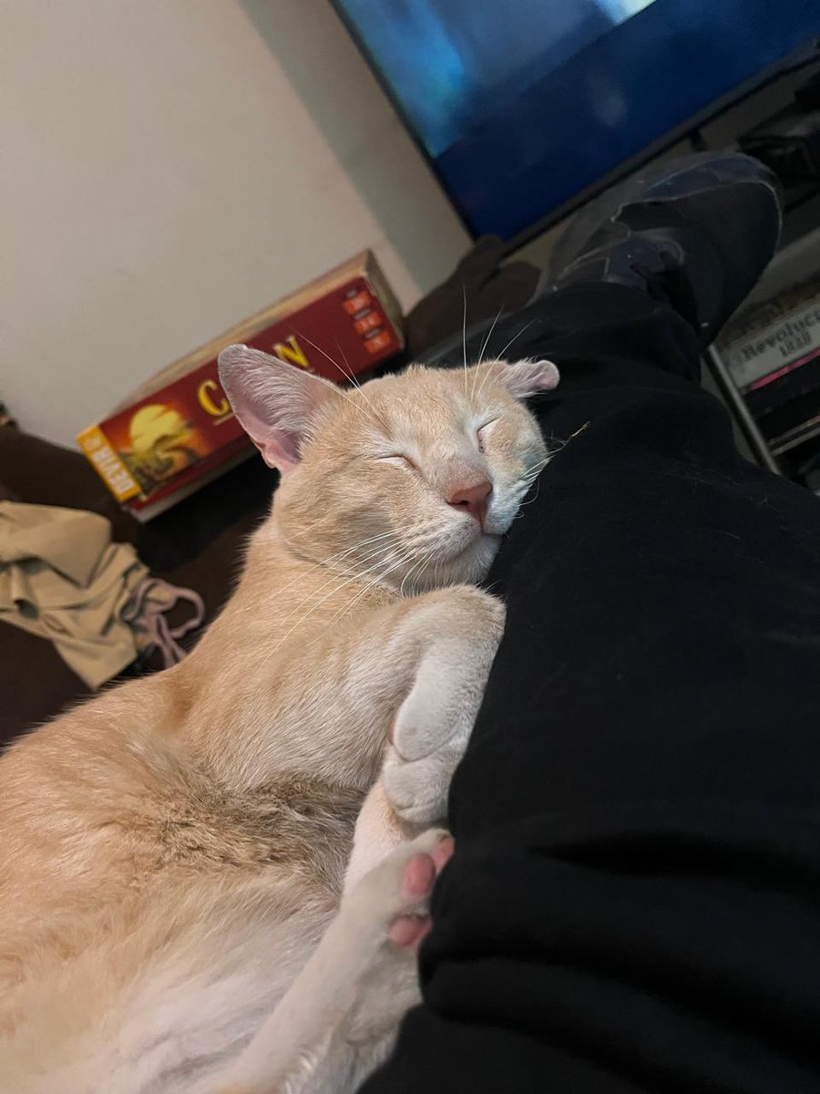 𝓑𝓻𝓪𝓭 tweet media