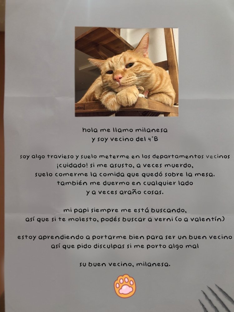 ThcB0LTER's tweet photo. ᅠ ᅠ ᅠ ㅤㅤ————ㅤ@BehindHerBooks, ¿verdad?ㅤ—— le extiende el papel que lleva doblado en el bolsillo. ——ㅤ¿de casualidad no viste a mi gato? se intercambia información útil por galletas caseras. https://t.co/pmyrjuBzMq