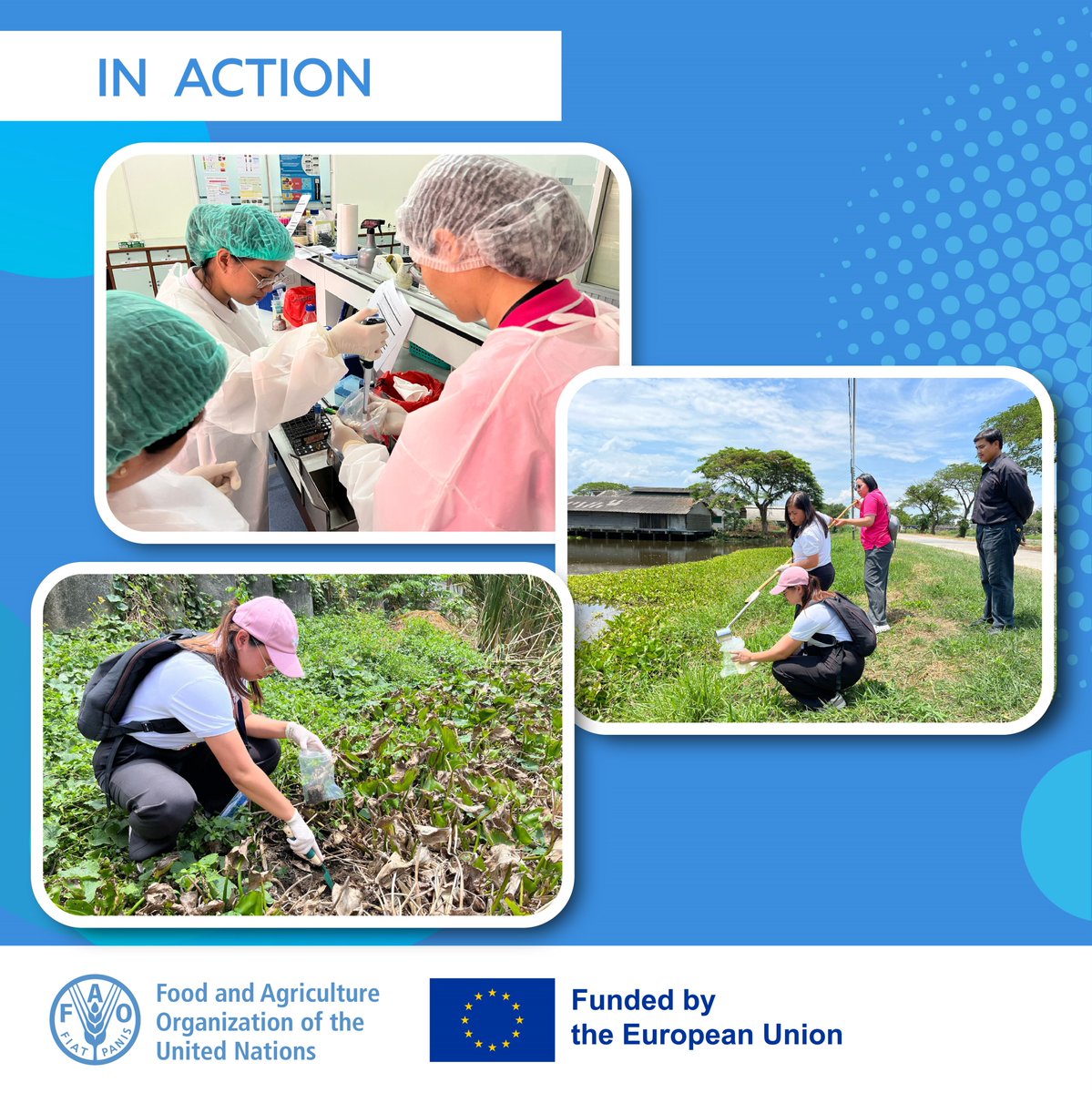 FAO Asia Pacific (@faoasiapacific) on Twitter photo .<a href="/EU_FPI/">EU Service for Foreign Policy Instruments 🌐</a> funded hands-on training for the environmental sector on sampling and laboratory methods for AMR surveillance. This training enhanced Philippine's capacity to expand AMR monitoring in the food and agriculture sectors. .<a href="/EU_FPI/">EU Service for Foreign Policy Instruments 🌐</a> funded hands-on training for the environmental sector on sampling and laboratory methods for AMR surveillance. This training enhanced Philippine's capacity to expand AMR monitoring in the food and agriculture sectors.