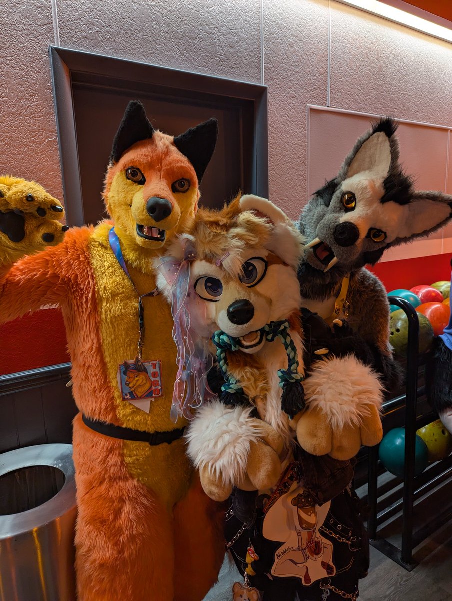 Togo Wolf tweet media