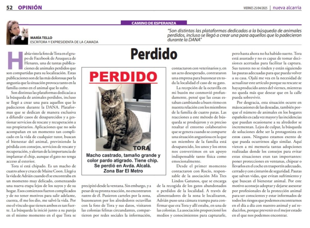 Mi artículo de opinión de este mes en <a href="/NuevaAlcarria/">Nueva Alcarria</a>.

Ojalá no hubiera que lamentar ninguna desaparición. Provoca sufrimiento a las familias y al animal perdido 😞🐾.

nuevaalcarria.com/articulos/perd…