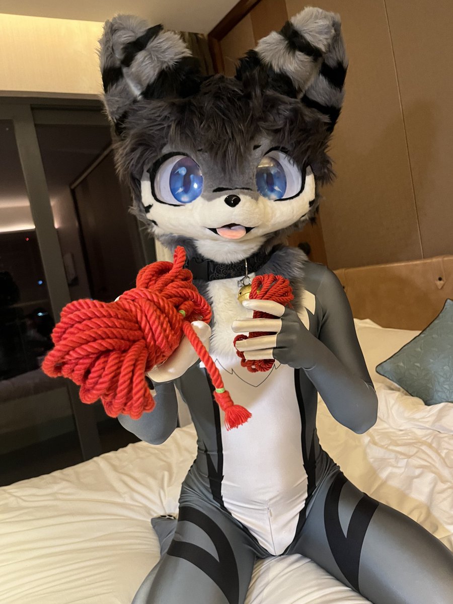 你知道接下来要怎么做吗🤤
📷： <a href="/yanjing336699/">眼镜</a> 
#FursuitEveryday #zentai #furry