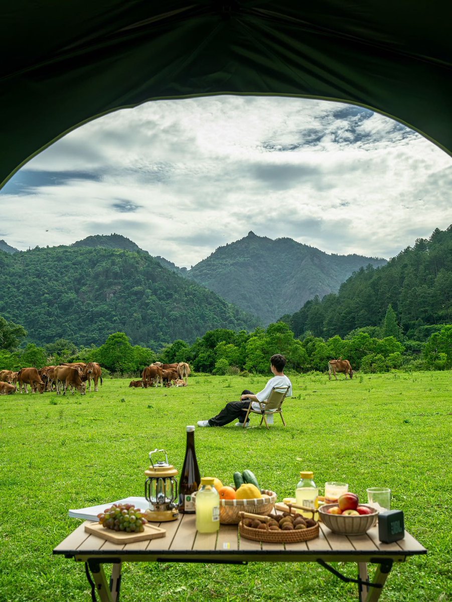 mobigarden_jp's tweet photo. 夏にキャンプするより最高なことってある？ https://t.co/FT53ibPAAL