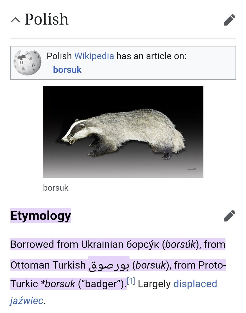 zey tweet media