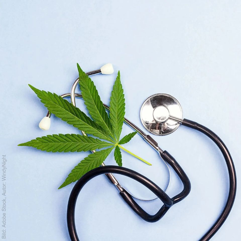 +++ Neuer Service +++
#Medizinischer #Cannabis kann eine Vielzahl von gesundheitlichen Beschwerden lindern. Unsere Fachkräfte #beraten Sie #individuell und #diskret Ihren Bedürfnissen entsprechend. Kommen Sie direkt vorbei oder rufen Sie uns an:
#AVIE #Carré #Apotheke 04961 92790