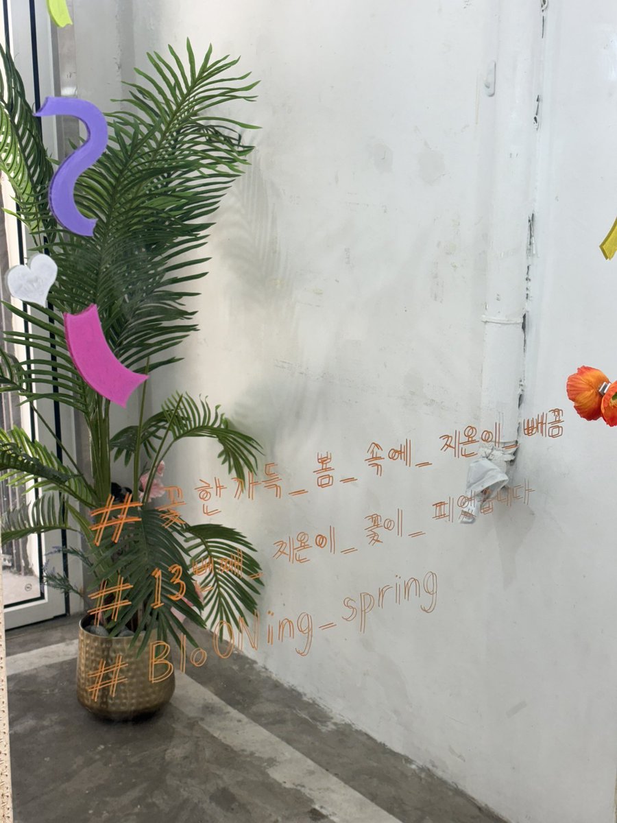 daengno_zip's tweet photo. #꽃한가득_봄_속에_지온이_빼꼼
#13번째_지온이_꽃이_피었습니다 
#BloONing_spring 
디피 구경하고 내 사진도 알차게 찍고 간당
소�� 짱 마음에 들어!! https://t.co/CQyS7xKInF