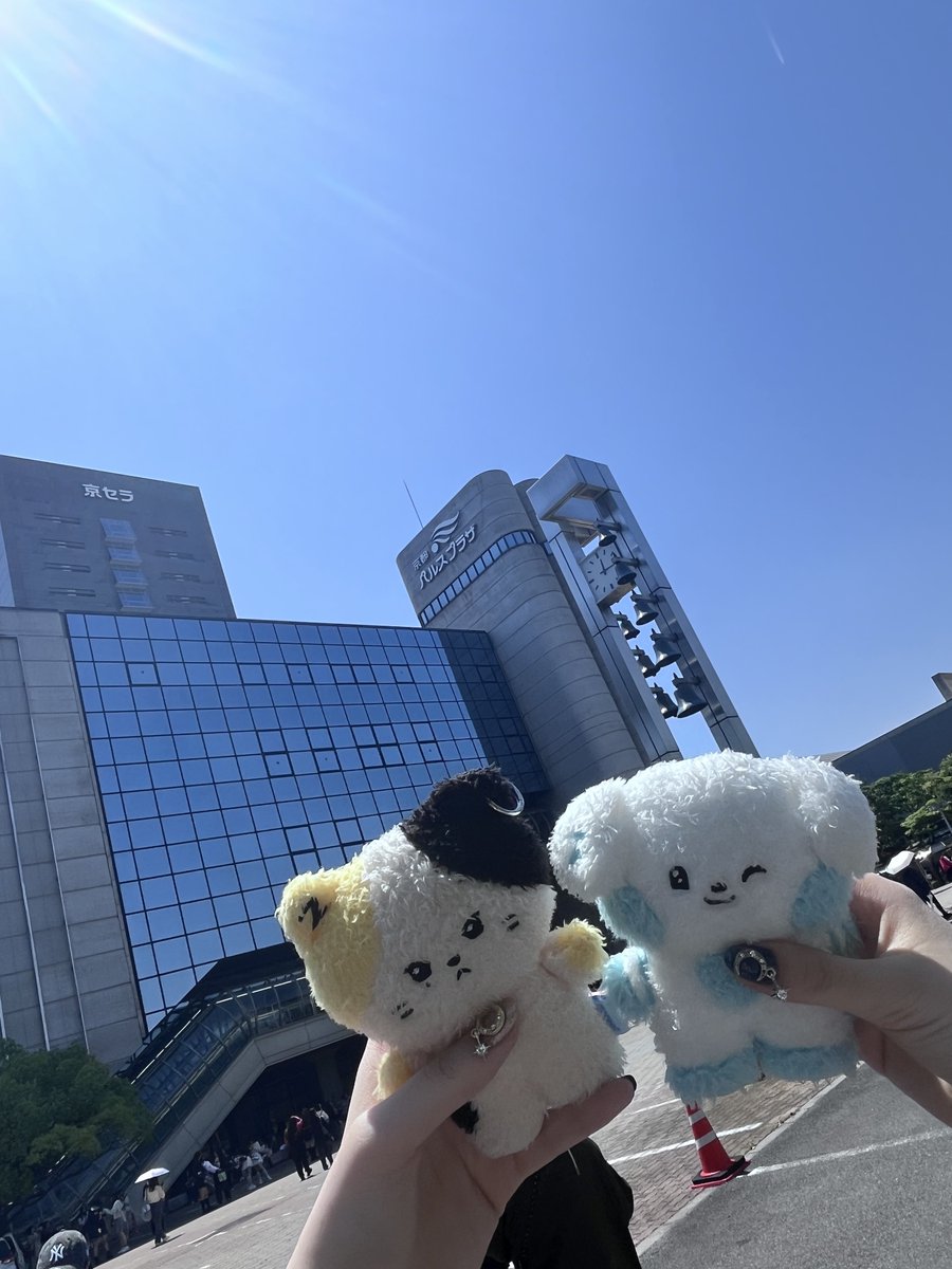 xdkdlfl's tweet photo. 250427 ゼベワン オフイベ 京都 ハイタッチレポ 🐱

入った瞬間めっちゃ可愛い顔しながらハイタッチしてくれて目の前で😘見れたの幸せすぎた💗剥がし早すぎたけど最後まで目見てくれたリッキーはチャレドル👍🏻

#ZEROBASEONE #PREZENTO #Ricky   #Ricky #ハイタッチレポ #ZEROSE https://t.co/2BfbCmkpmw