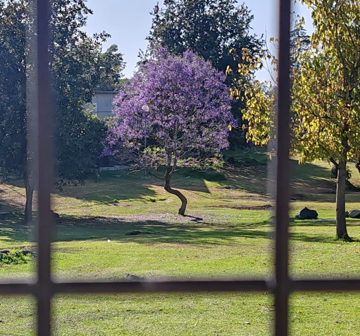 Tania Itzel Vargas - Madre rebelde tweet media