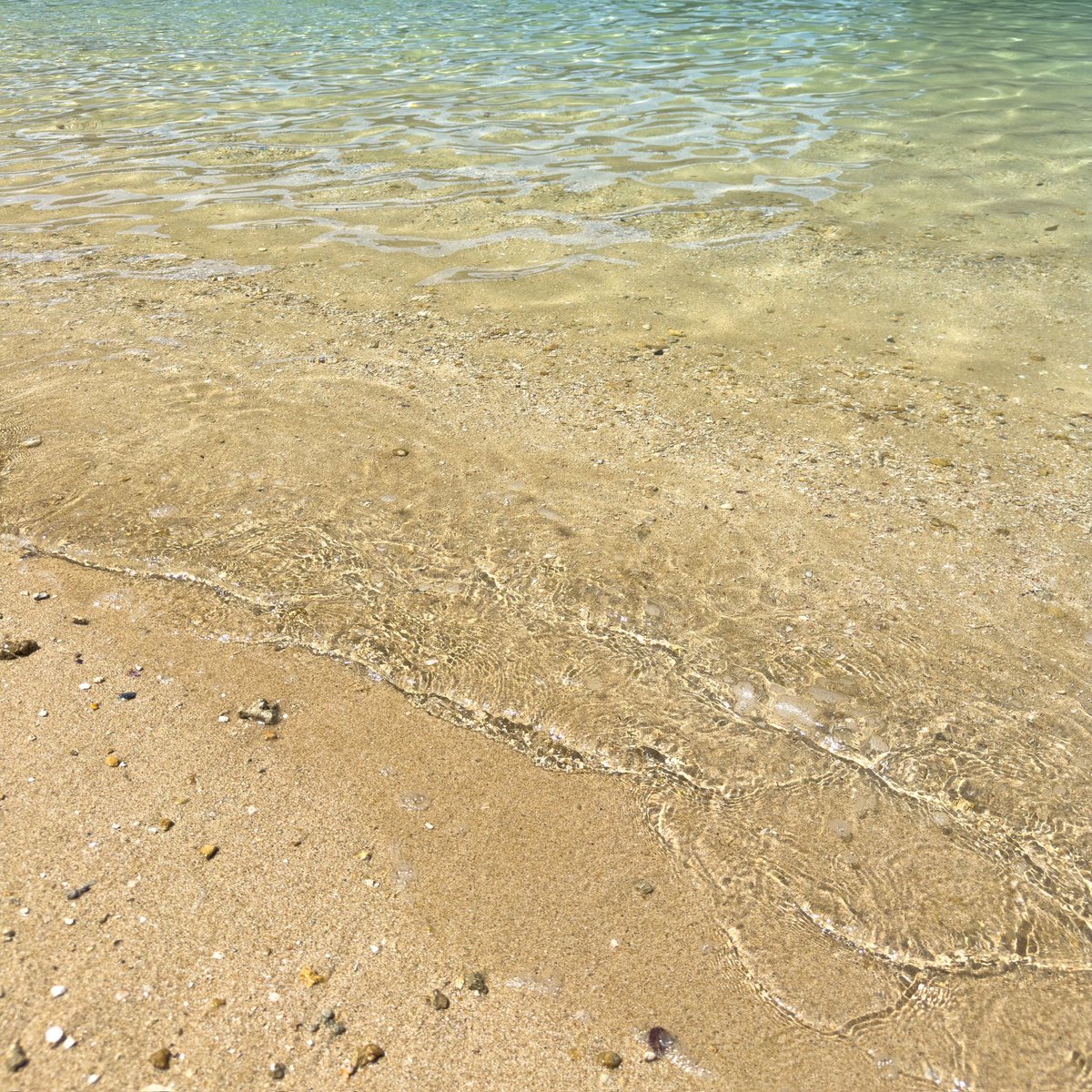 class_bm's tweet image. in  沖縄♪♪

・
・
・
海キレイでしたね！

それに暑かった🥵

また行きたい〜