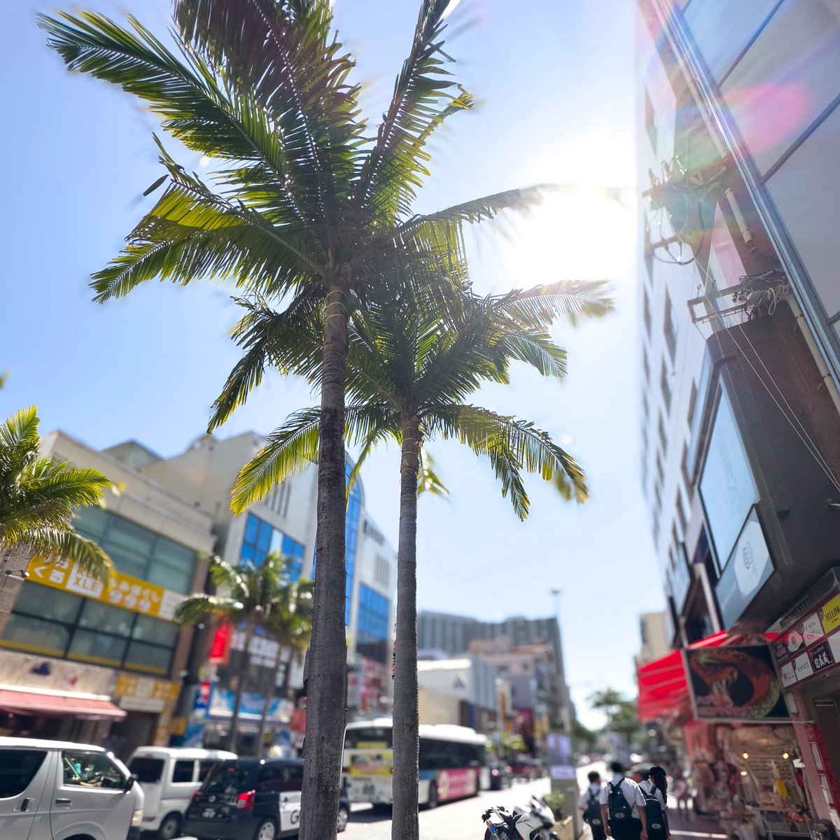 class_bm's tweet image. in  沖縄♪♪

・
・
・
海キレイでしたね！

それに暑かった🥵

また行きたい〜