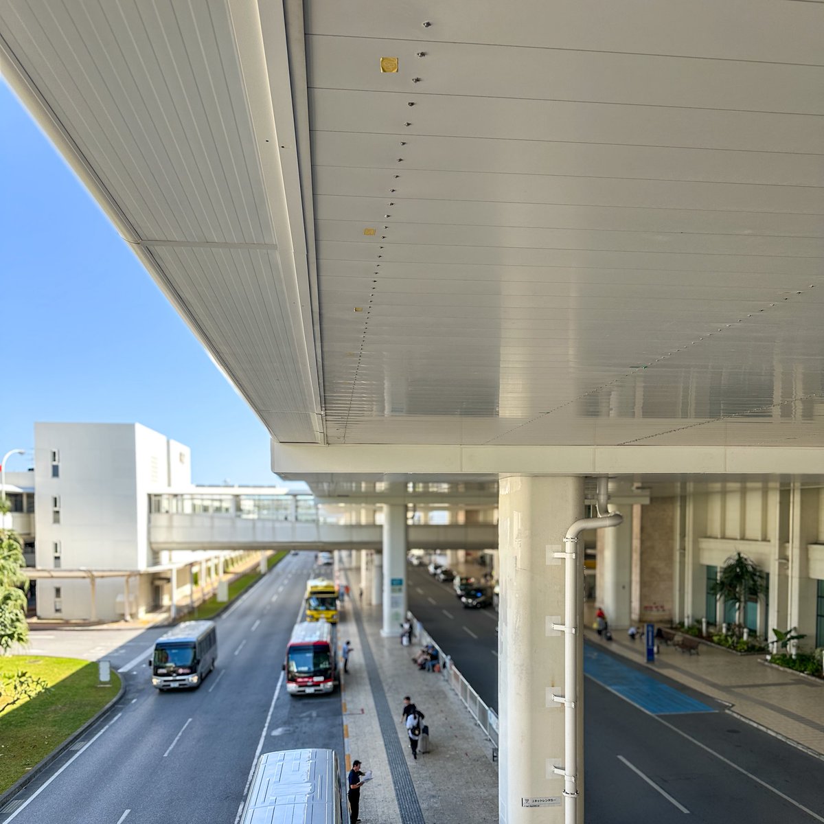 class_bm's tweet image. in  沖縄♪♪

・
・
・
海キレイでしたね！

それに暑かった🥵

また行きたい〜