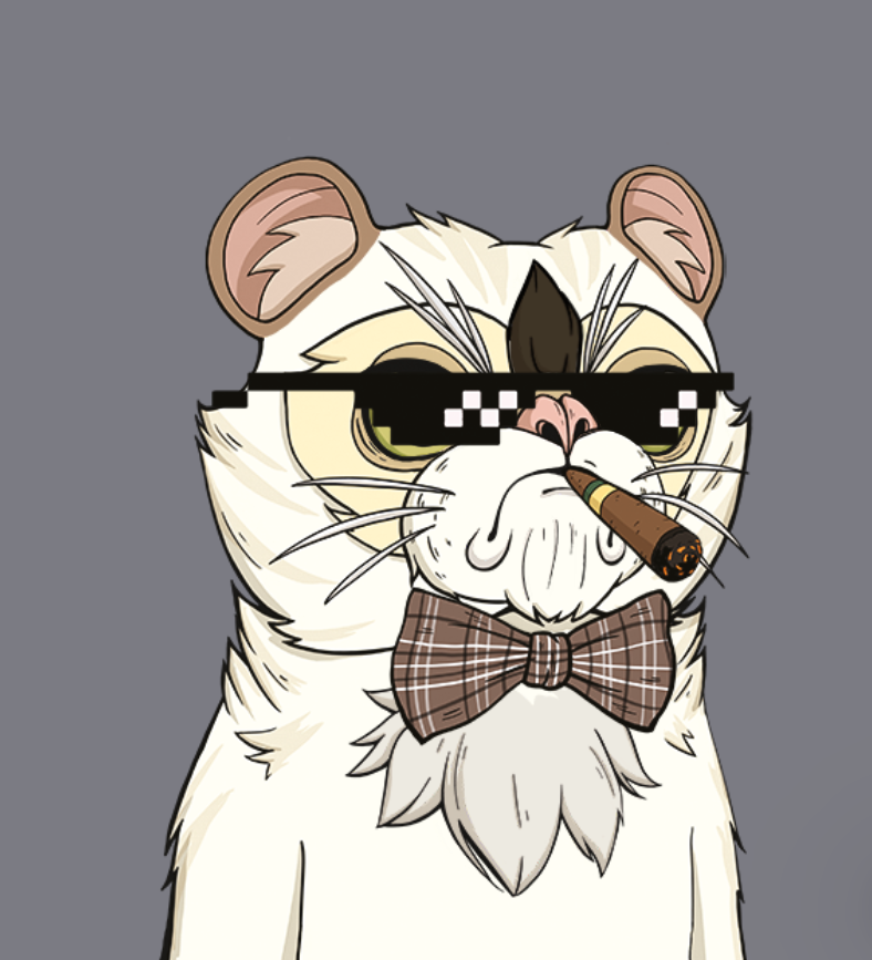 NFTCatClub's tweet photo. 🔥Have a great Monday🔥 
😻Get a Grumpy Cat!😻 
https://t.co/1Mn7x3hKUH 
🩷Spread the Grumpy Cats🩷 
#minting #gift #nft #crypto #PFP #eth #ethereum #btc #profilepicture #collector #friday https://t.co/8zuz89XlBu