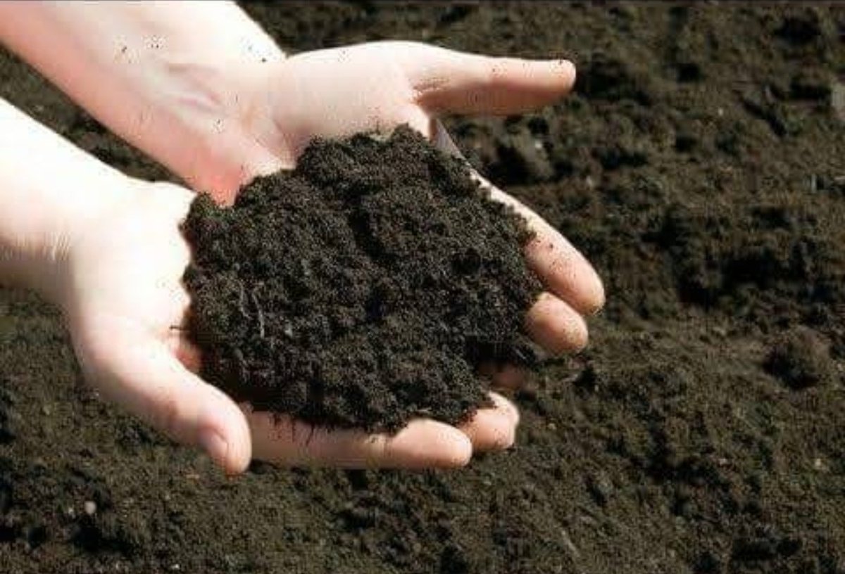 eozturk40's tweet photo. "Sen #kabre girmeyi illâ #toprağa yatmak mı sandın.. 

Âllah CC .. 
kimini #kibre gömer, 

Kimini de .. #kabre gömer..."

#HayırlıSabahlar https://t.co/nLW69ILwT7