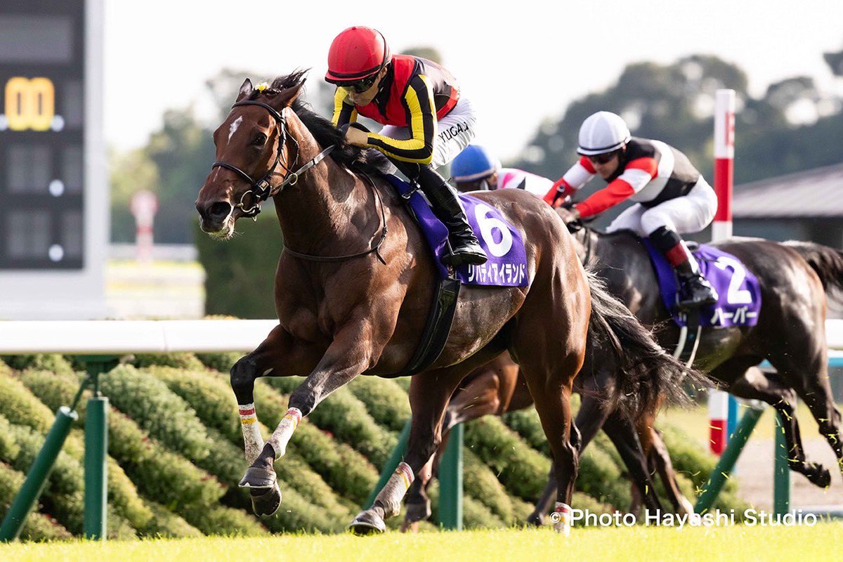 去る4/27（日）香港にて永眠した競走馬 リバティアイランドを謹み、ノーザンホースパーク内「ホースギャラリー」に献花台を設置します。
【献花期間】4/29（火祝）〜5/31（土）