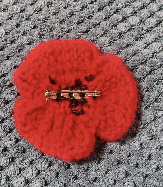 Remembering VE Day 
 80 Years (8th May)

Our knitting group have made some special poppies.

Available from the library