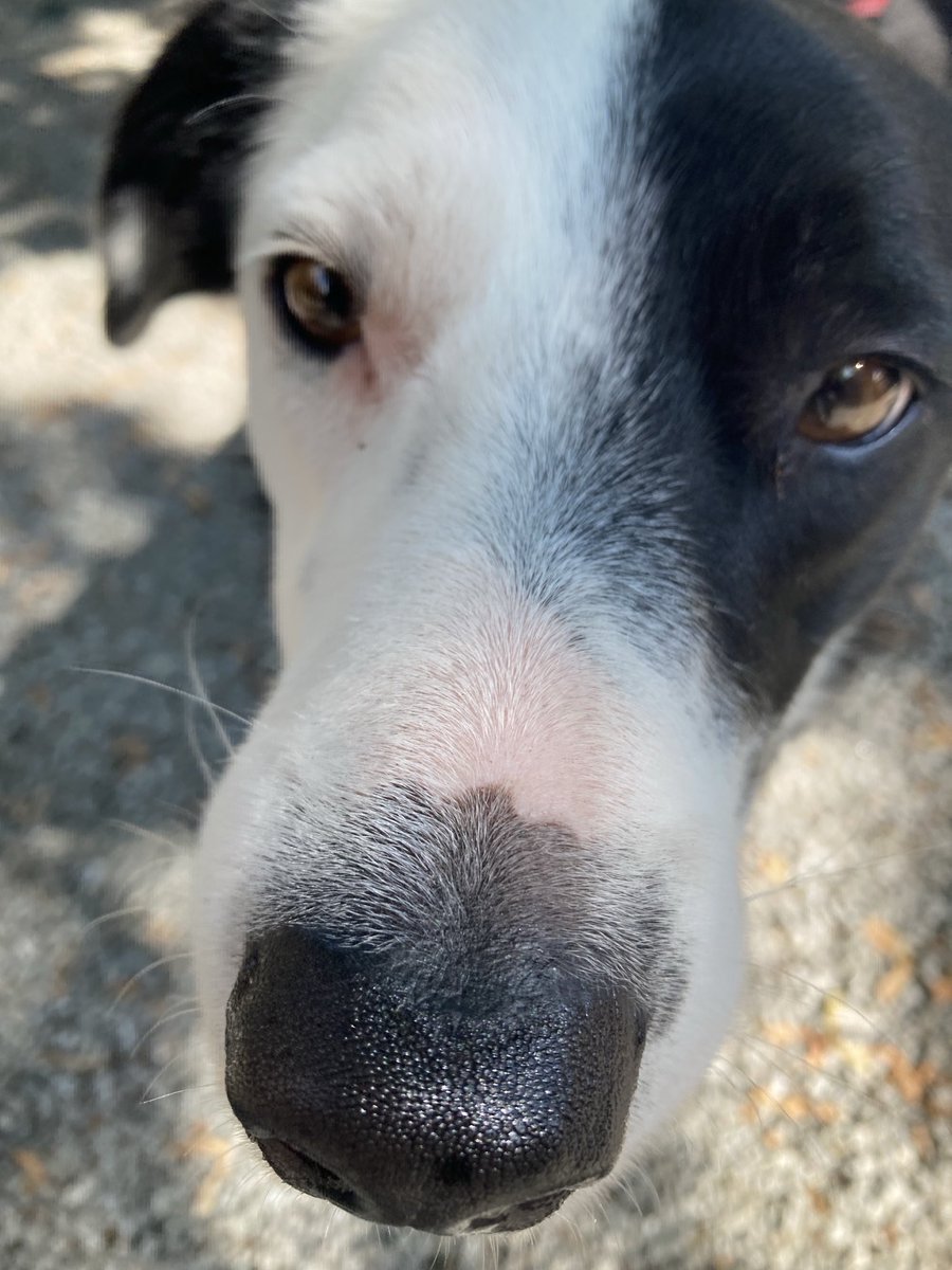 It been a while…. Spring Boop! Folks send me some of yours… I will like 👍