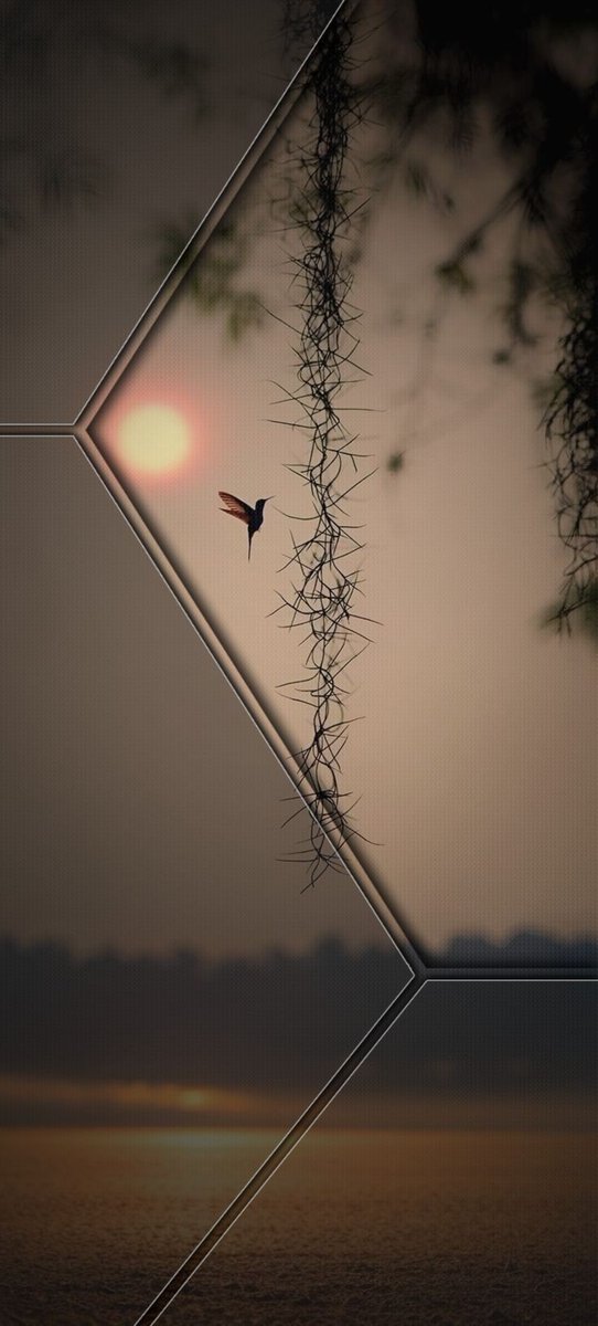 ElaminenBlog's tweet image. Sometimes, dreams come and bang at your door #Monday