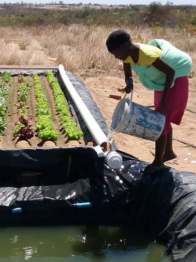 afriponics's tweet photo. @MoLAFWRD_Zim @FAO @FAOfish @WorldFishCenter @milton_makumbe @DeptCommsZW @AgritexS @IFAD @obertjiri @HonJMuswereJnr @nickmangwana We did a project in Chivhu, which would have transformed the sector. Unfortunately, it broke down during the transition from Robert Mugabe. Even today, it has the potential to transform lives. Maybe now is  its time 🤔  https://t.co/3UwfeJXmty https://t.co/MyOMWbbQdC