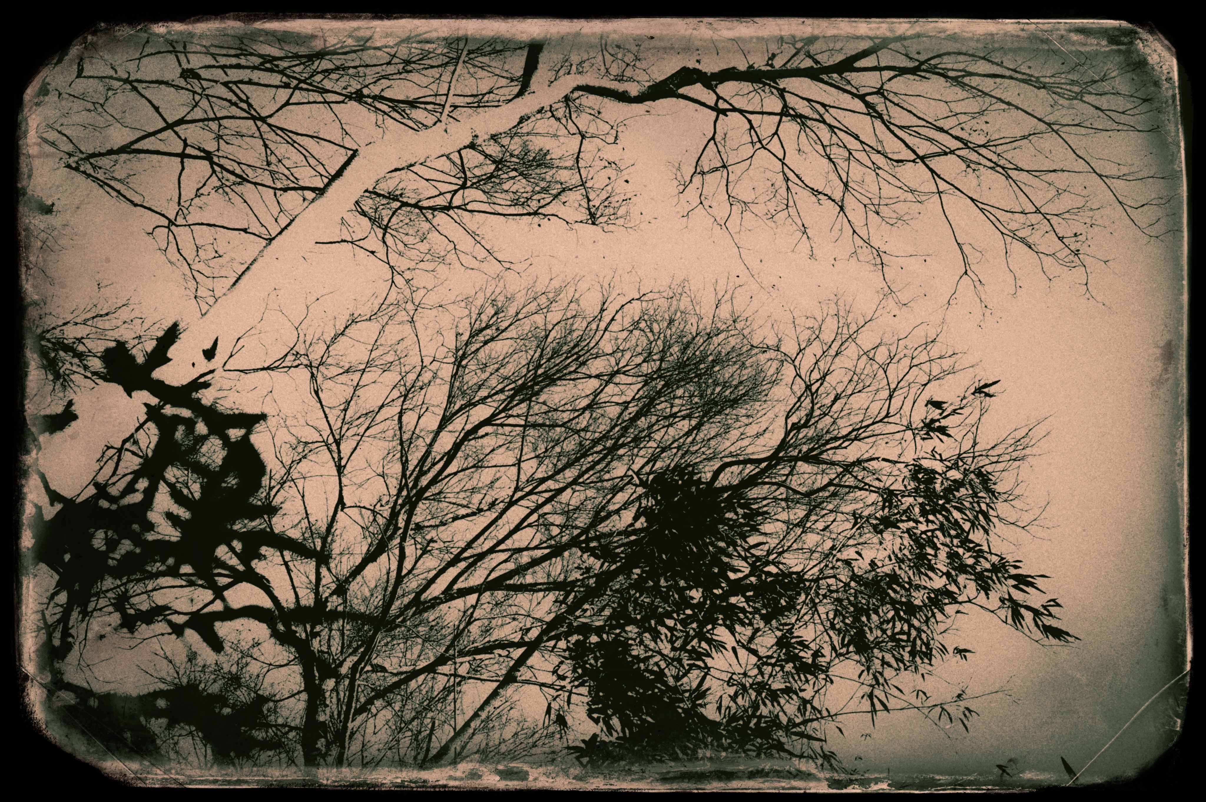 Shuichi Machimoto 町本修一。 on X: Shuichi Machimoto 町本修一。 on X: