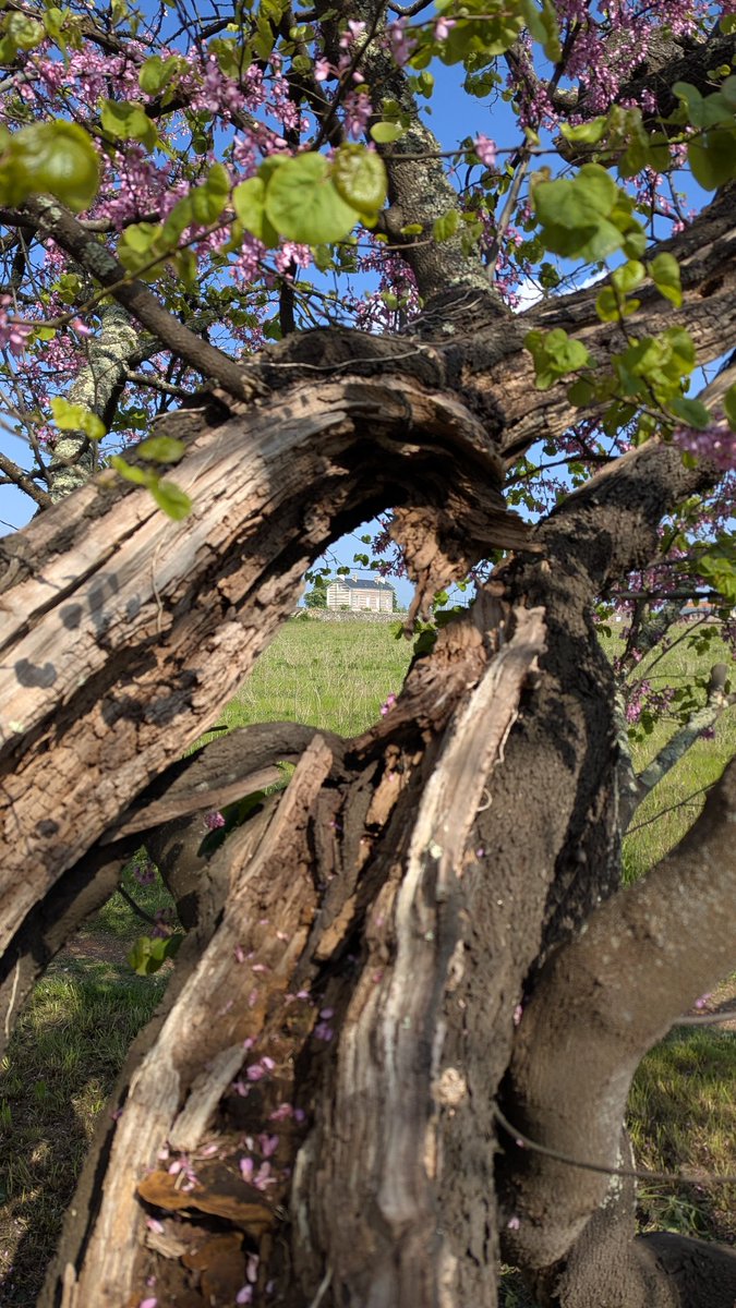 Au détour d'une randonnée ensoleillée, la gare du Pallet 🌞🚈 <a href="/TERPays2LaLoire/">TER Pays de la Loire</a>