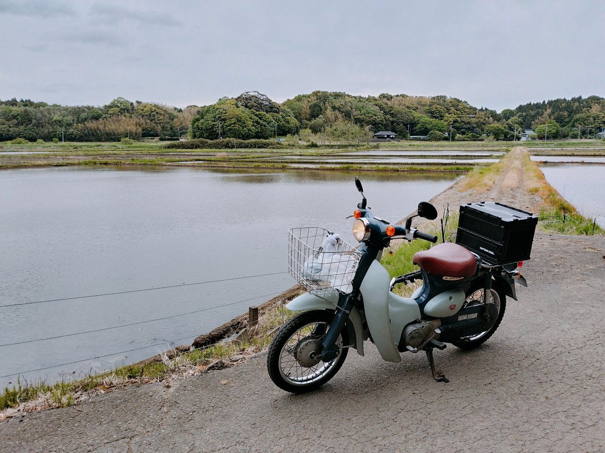 Spent the arvo cruising the countryside on my Little Cub. Proper slow though, main roads were bloody terrifying. Reckon it’s time for a tappet tweak. #littlecub #リトルカブ