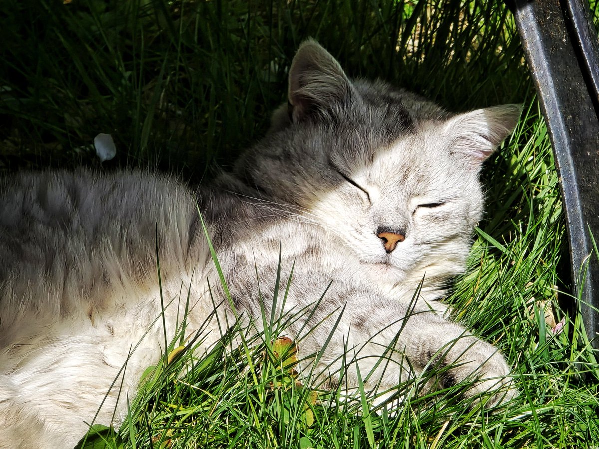 Mark_Hand tweet media