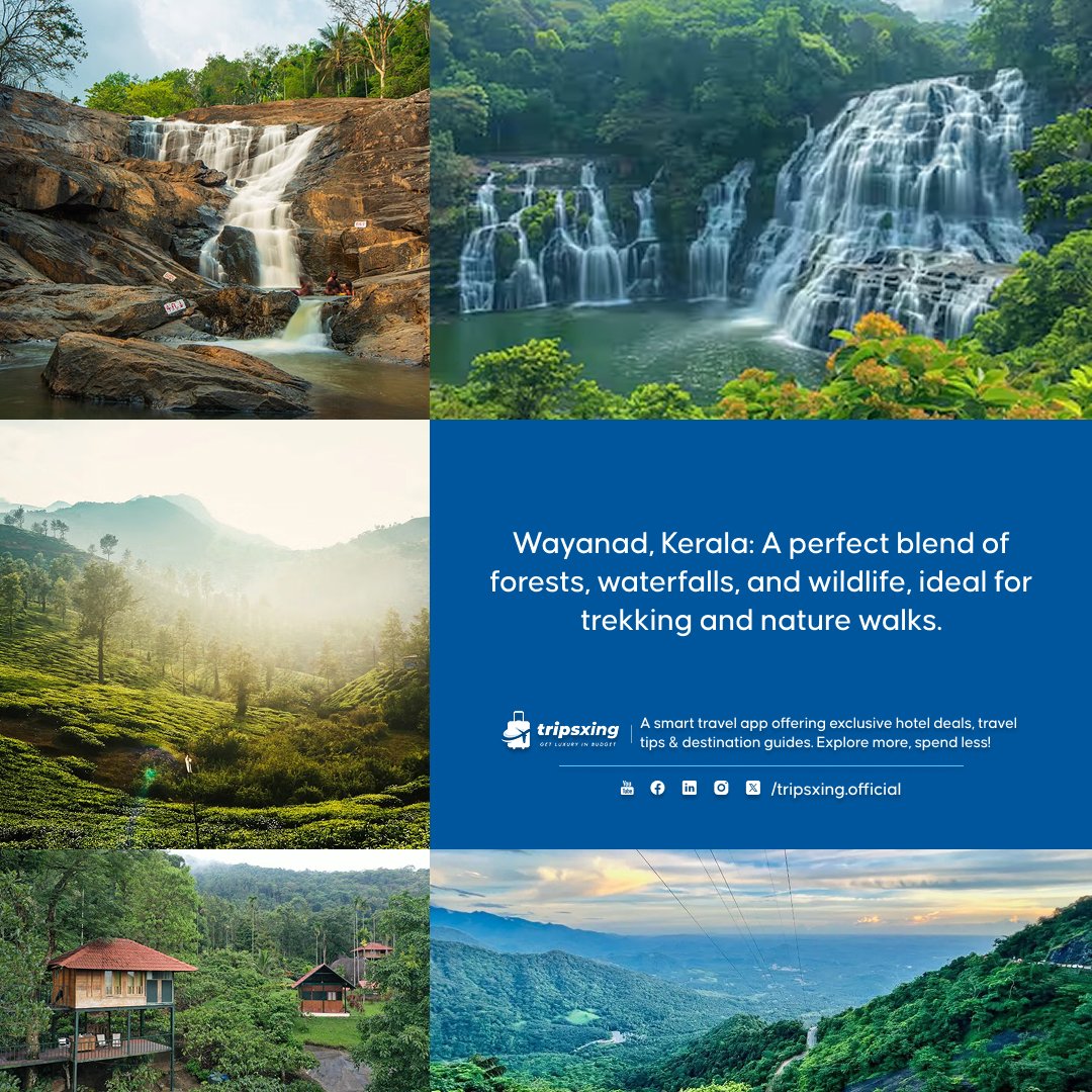 tripsxing_'s tweet photo. Discover the untamed beauty of Wayanad—where misty forests, tranquil lakes, and ancient caves await. 🌿🐾 Whether you’re hiking through the hills or visiting serene waterfalls, Wayanad’s natural wonders will leave you awestruck. 🌊

#Tripsxing #Wayanad #NatureLovers #Kerala https://t.co/qZz9v8CUEo