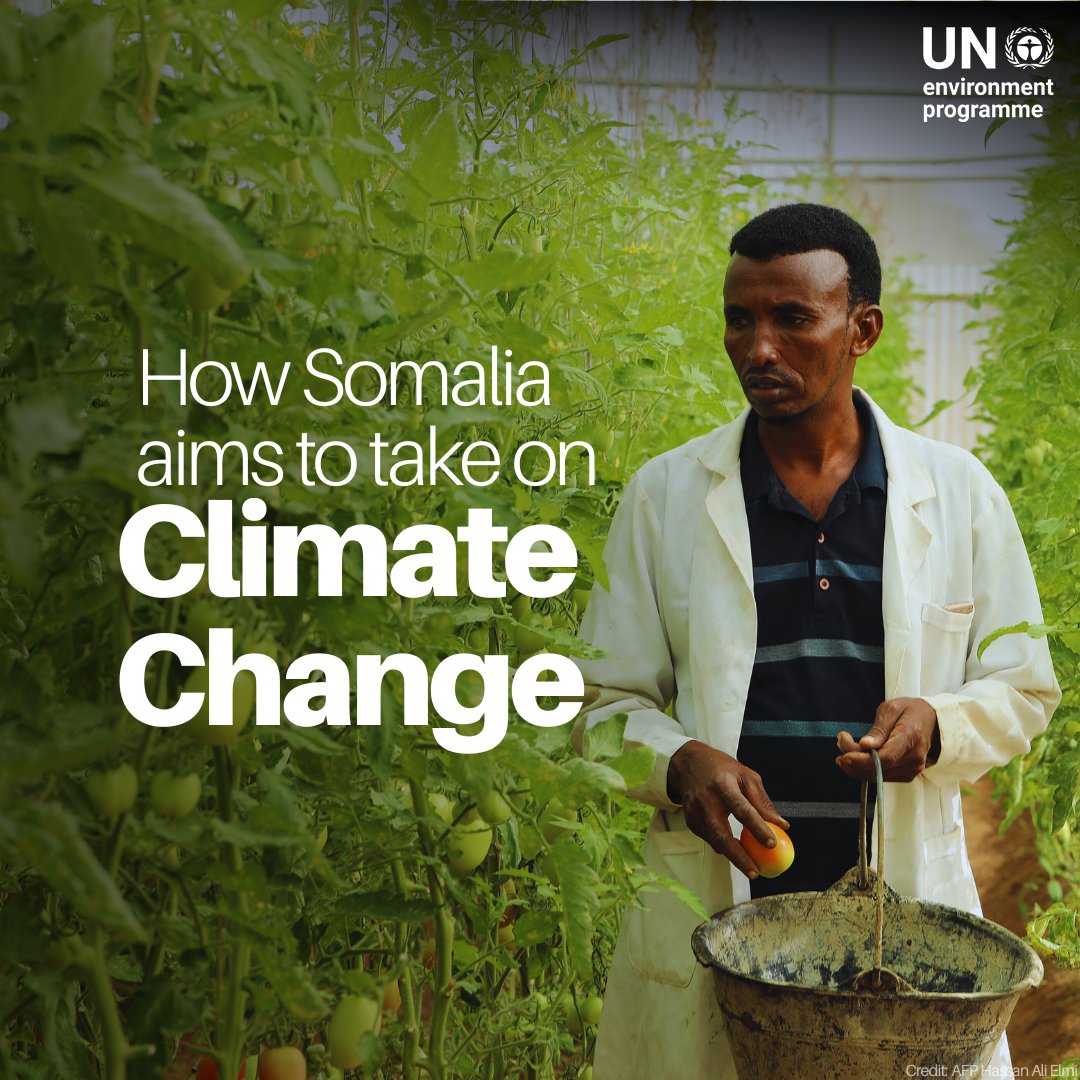 UN Environment Programme (@unep) on Twitter photo In Somalia, climate change is worsening poverty, hunger and and threatening to enflame a decades-long conflict.
However, there is hope through #ClimateAction, as the government and <a href="/UNEPCCC/">UNEP Copenhagen Climate Centre</a> work on technology-based adaptation measures.
Read more: unep.org/news-and-stori… In Somalia, climate change is worsening poverty, hunger and and threatening to enflame a decades-long conflict.
However, there is hope through #ClimateAction, as the government and <a href="/UNEPCCC/">UNEP Copenhagen Climate Centre</a> work on technology-based adaptation measures.
Read more: unep.org/news-and-stori…
