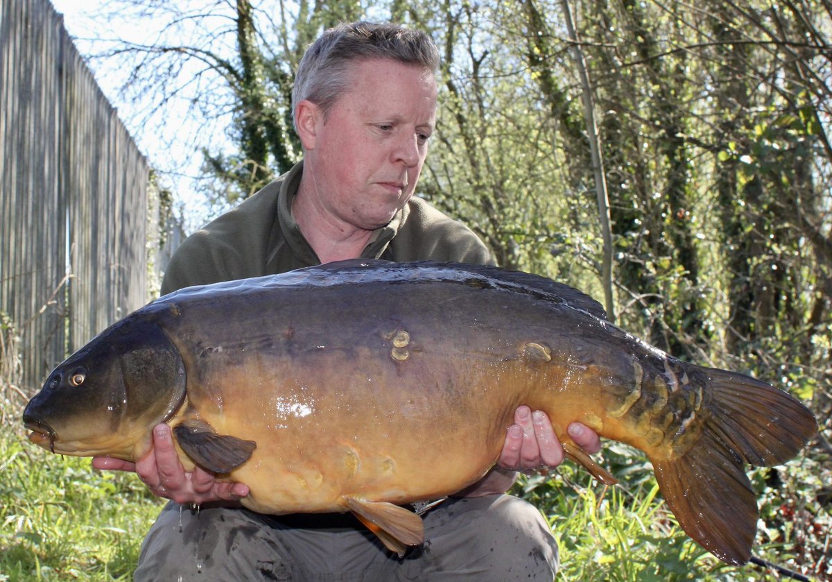 stgeorgeslake's tweet image. Great end to the season for Neil Randle. He had 9 carp in two days; 4 thirties, 4 twenties and a double. Here’s the best of the pics #carpfishing #bigcarp #karpe #fishing #FishingPlanet