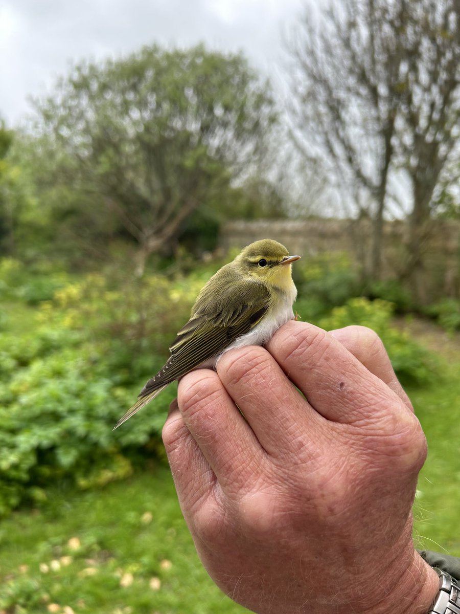 Glen Thomas PhD tweet media