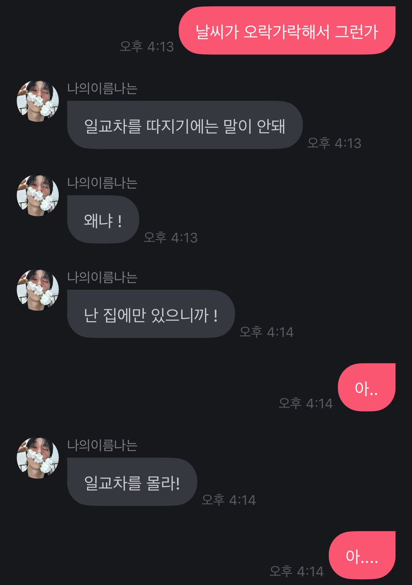 Holyjo1n_'s tweet photo. 아 진짜 웃긴 고앵이야 ( ᐪ ᐪ ) https://t.co/no7vFO9Ai5